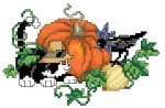 (image for) Spooky Kitty